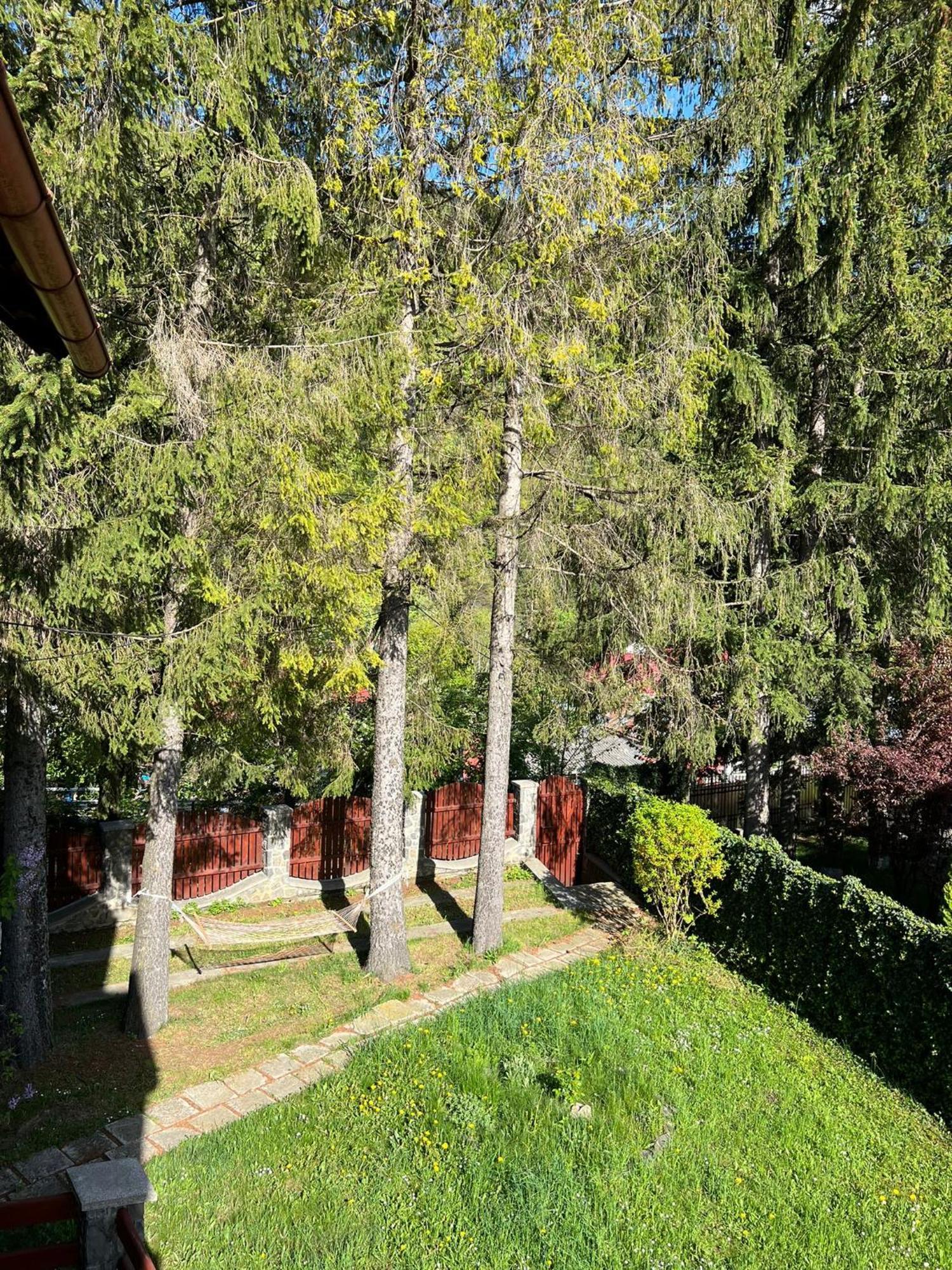 Red House Sinaia Hotel Exterior photo